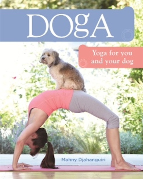 Doga yoga for you and your dog